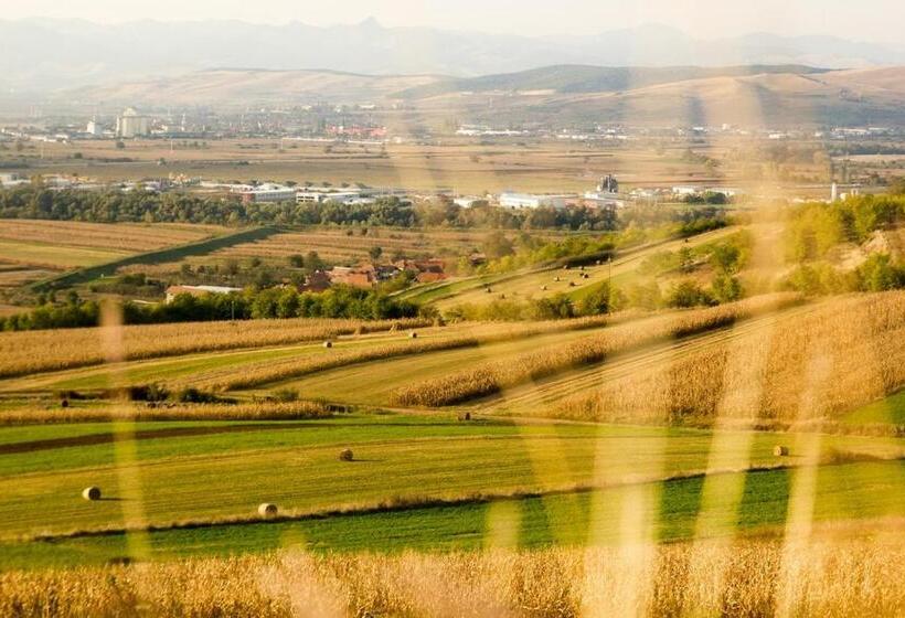 Pensiunea Casa Din Vii