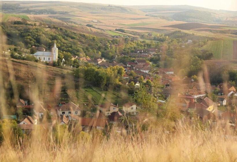 Pensiunea Casa Din Vii