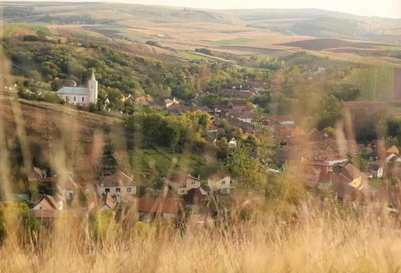 Pensiunea Casa Din Vii