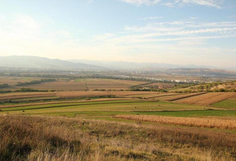 Pensiunea Casa Din Vii