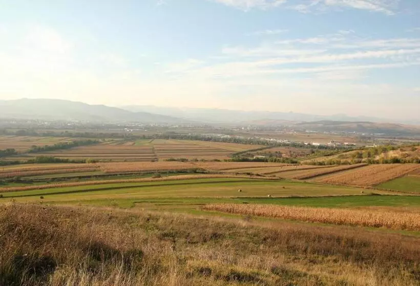 Pensiunea Casa Din Vii