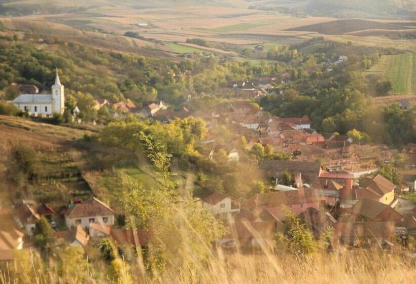 Pensiunea Casa Din Vii