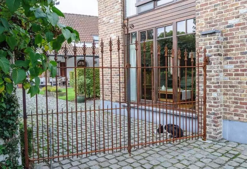 B&b Het Hof Van Petronilla