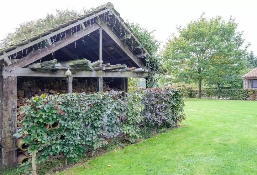 B&b Het Hof Van Petronilla