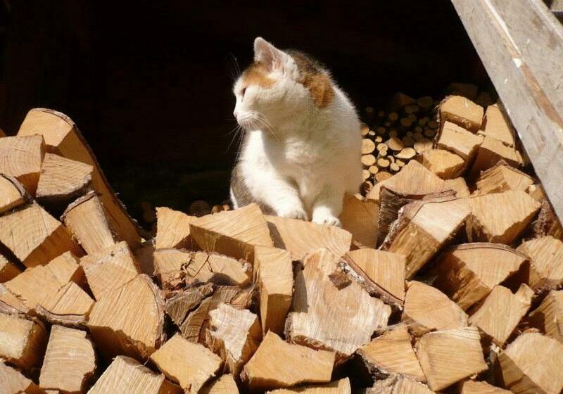 B&b Il Sorriso Dei Nonni