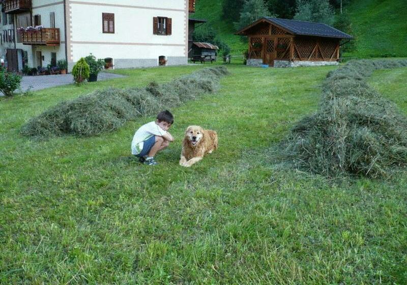 B&b Il Sorriso Dei Nonni