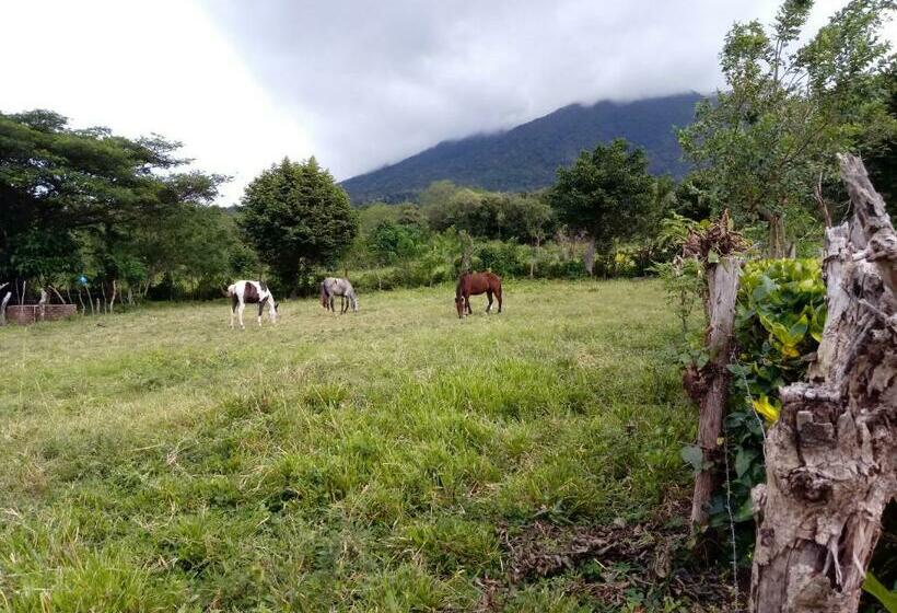 تختخواب و صبحانه Finca Montaña Sagrada