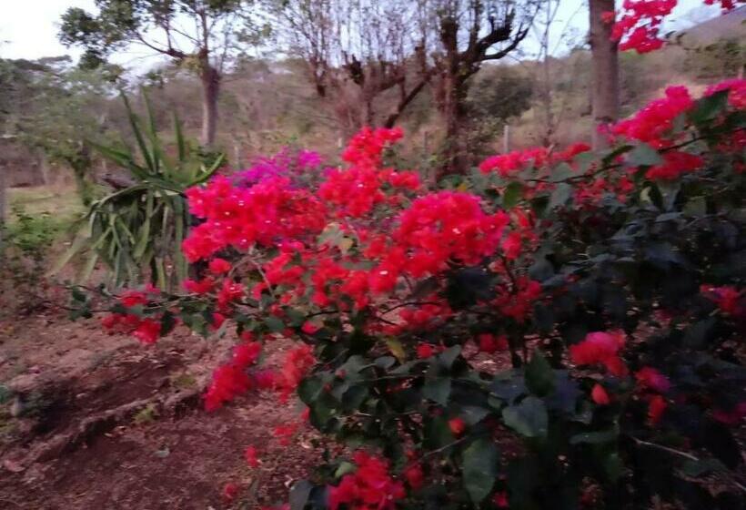 تختخواب و صبحانه Finca Montaña Sagrada