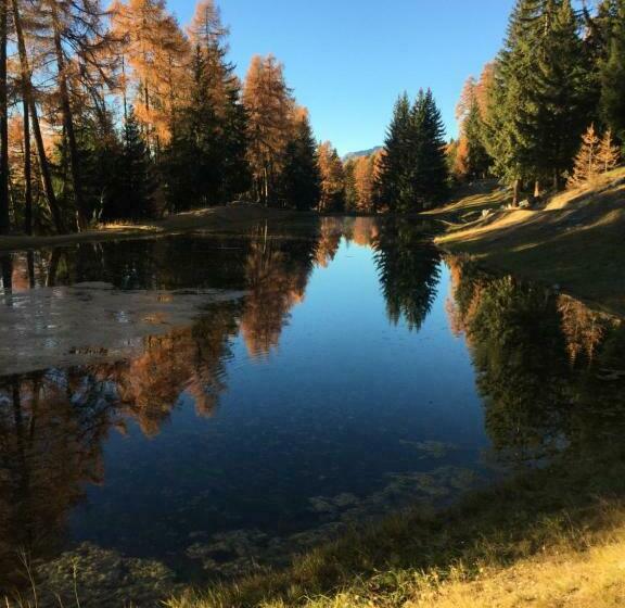 住宿加早餐 Angel S Sport Le Central