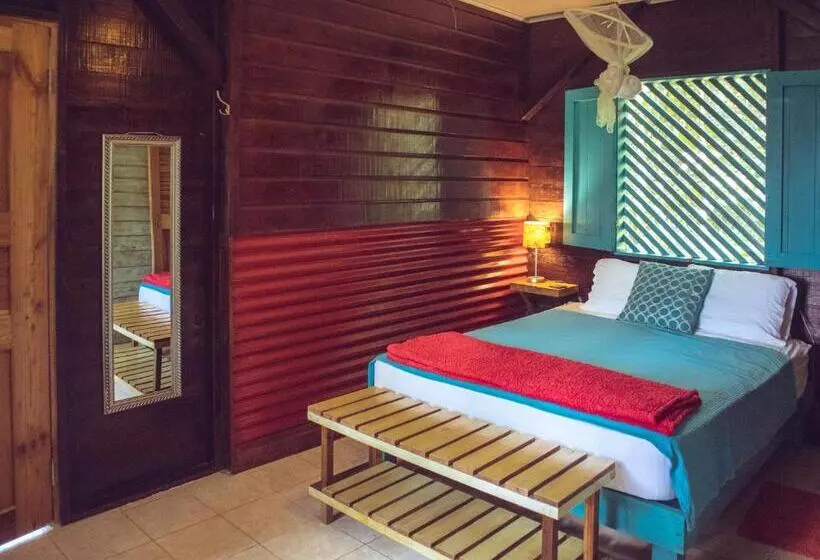 ベッドアンドブレックファースト Surf Break At Paunch