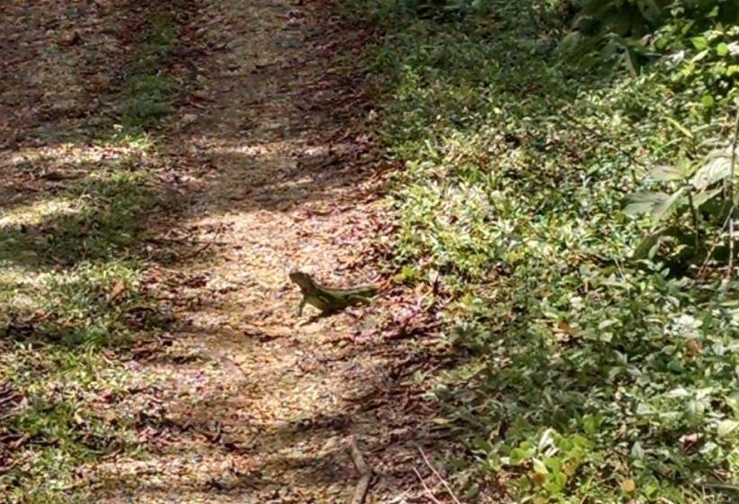 Bed & Breakfast Surf Break At Paunch