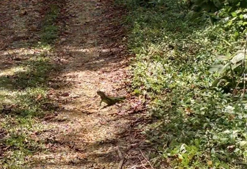 ベッドアンドブレックファースト Surf Break At Paunch