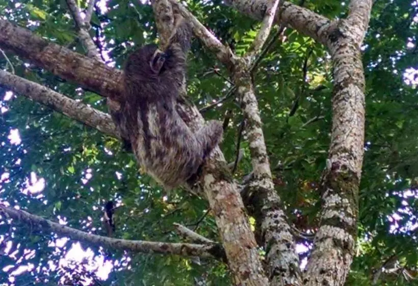 ベッドアンドブレックファースト Surf Break At Paunch