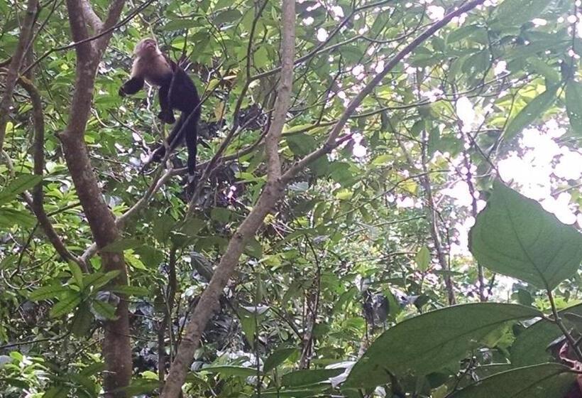 Bed & Breakfast Surf Break At Paunch
