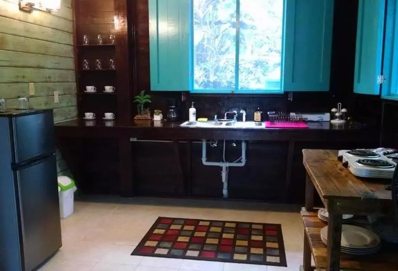 ベッドアンドブレックファースト Surf Break At Paunch