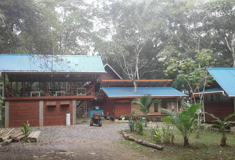 Bed & Breakfast Surf Break At Paunch