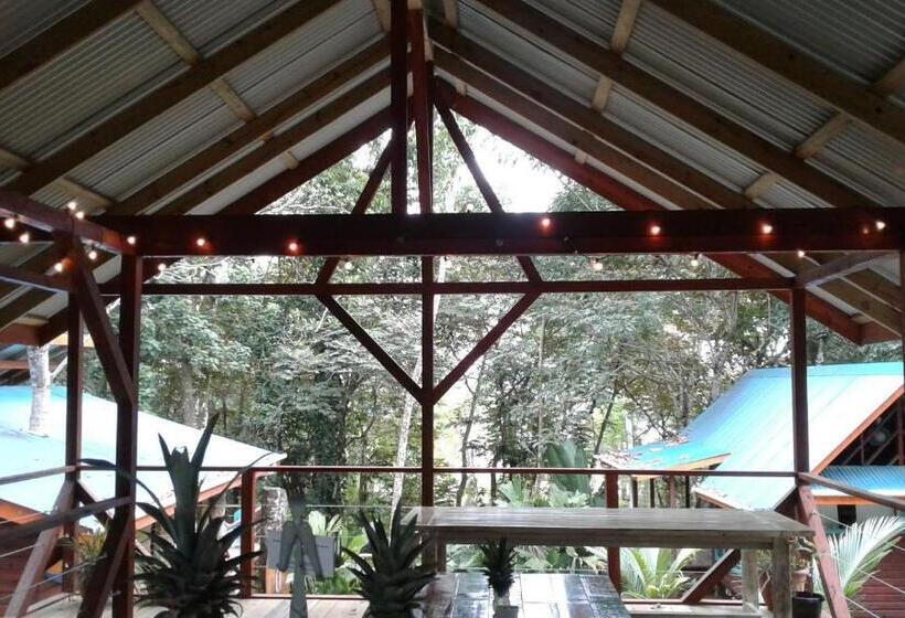 Bed & Breakfast Surf Break At Paunch