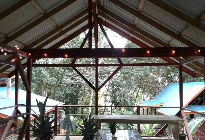 ベッドアンドブレックファースト Surf Break At Paunch