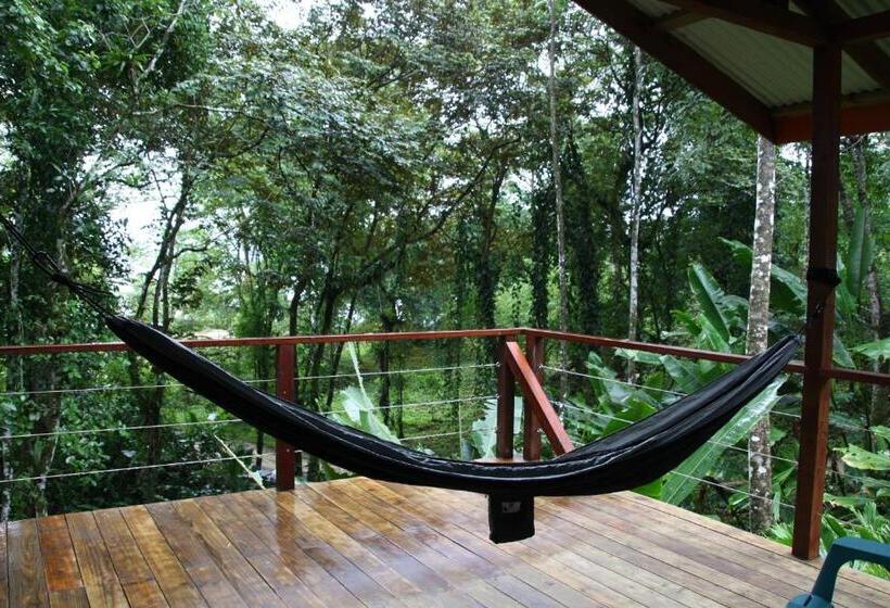 Bed & Breakfast Surf Break At Paunch