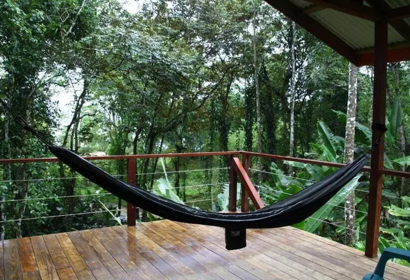 ベッドアンドブレックファースト Surf Break At Paunch