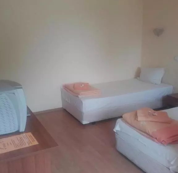 Hotelli Aleksievata Kashta