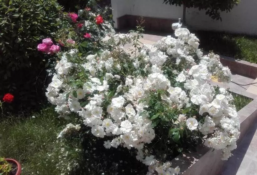 Hotelli Aleksievata Kashta