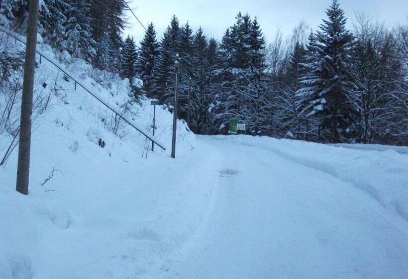 Отель Am Wald  Garni