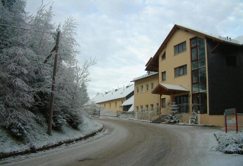 Отель Am Wald  Garni