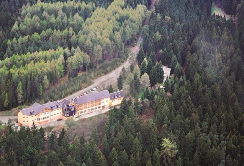 Отель Am Wald  Garni