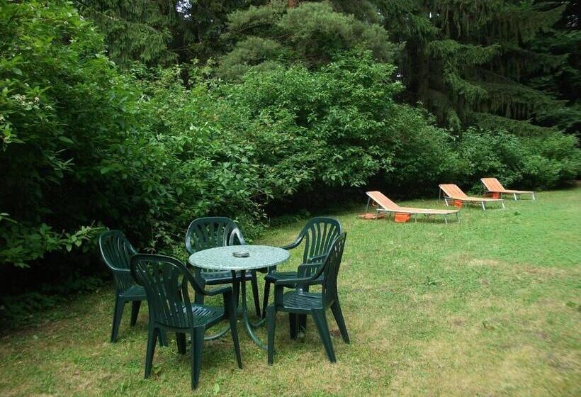 Отель Am Wald  Garni