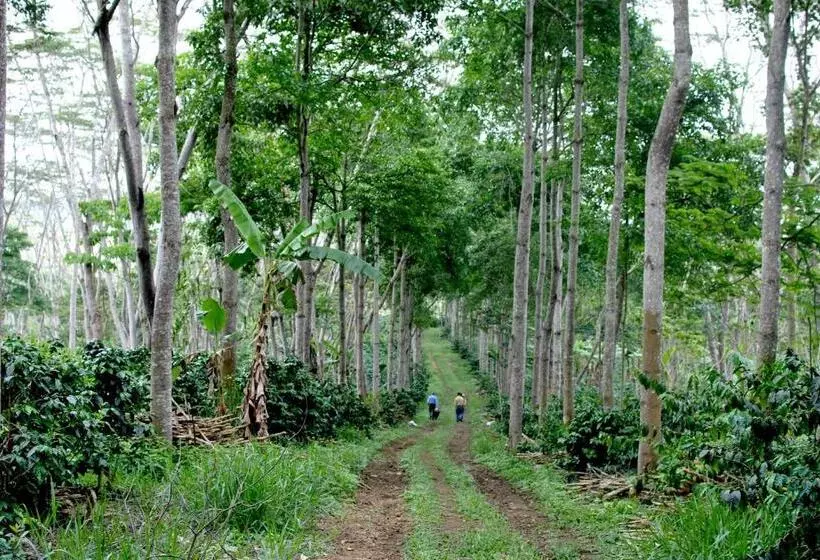 ホテル Hacienda El Roble