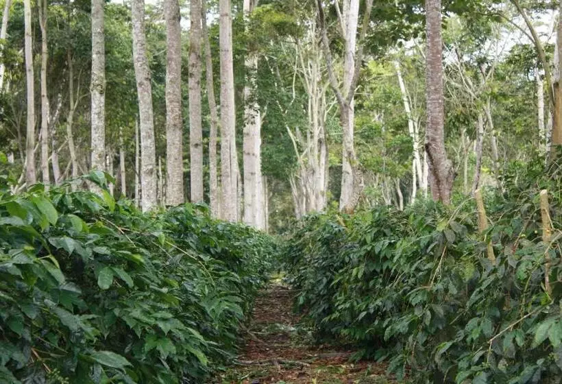 ホテル Hacienda El Roble