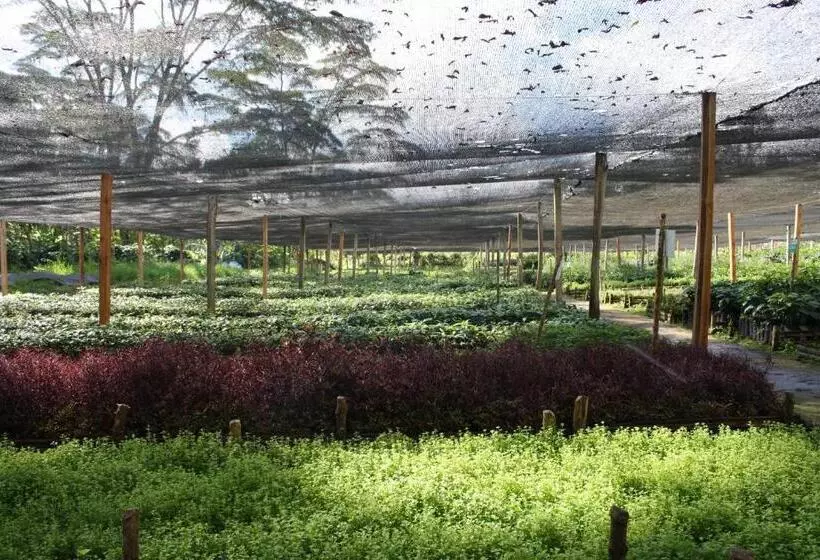 ホテル Hacienda El Roble
