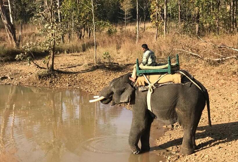 酒店 Kamp Kamouflage Kanha