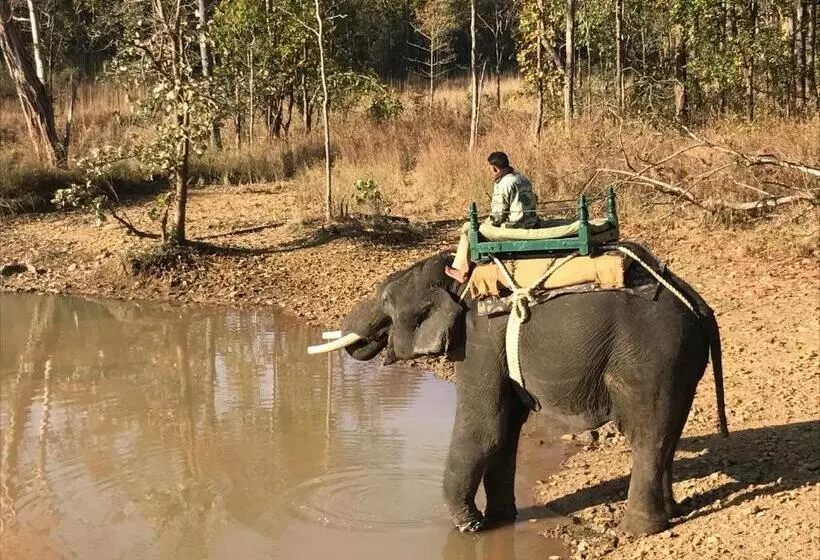 ホテル Kamp Kamouflage Kanha