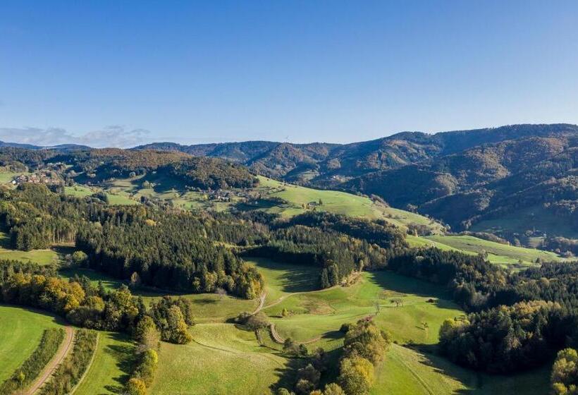 酒店 Restaurant Sennhütte Im Herzen Des Südschwarzwalds