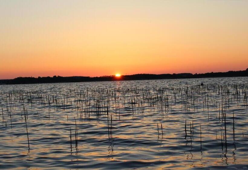 Müritz Landhotel Grüner Baum