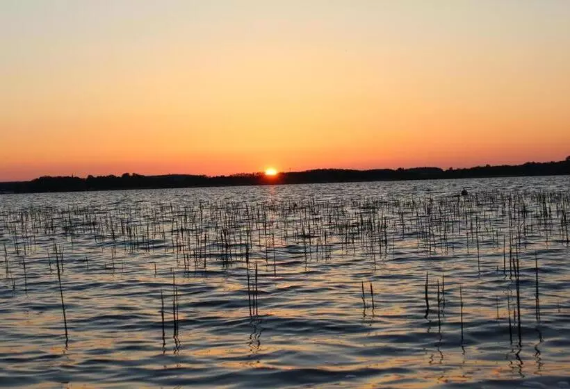 Müritz Landhotel Grüner Baum