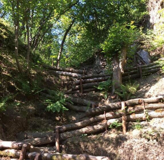 بنسيون Auermühle