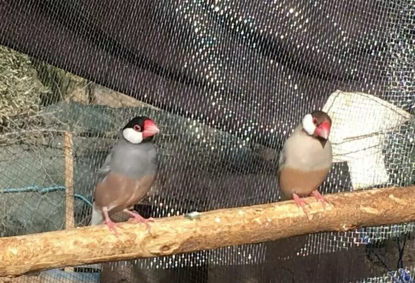 Majatalo Escale Rando Taliouine