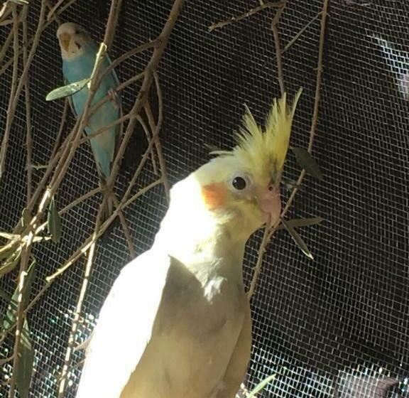 Пансион Escale Rando Taliouine