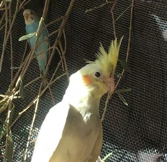 Majatalo Escale Rando Taliouine