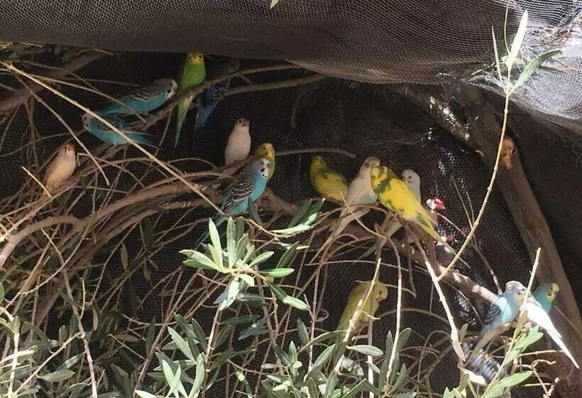 Majatalo Escale Rando Taliouine