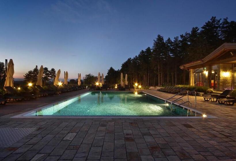 بنسيون Esterra Vini Guest House