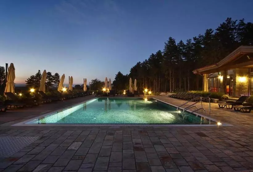 ペンション Esterra Vini Guest House