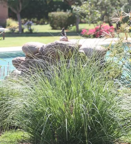 Majatalo Oasis Jena Marrakech