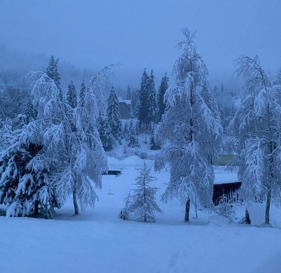 פנסיון Plavianska Sadyba