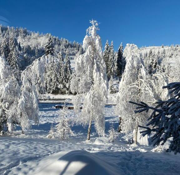 פנסיון Plavianska Sadyba