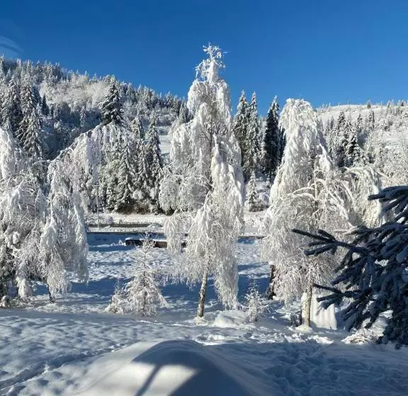 Majatalo Plavianska Sadyba