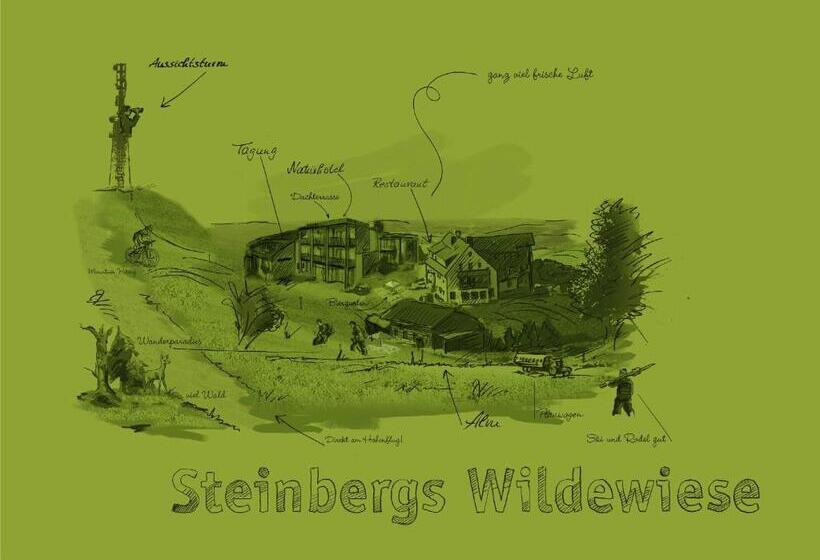פנסיון Steinbergs Wildewiese Natur